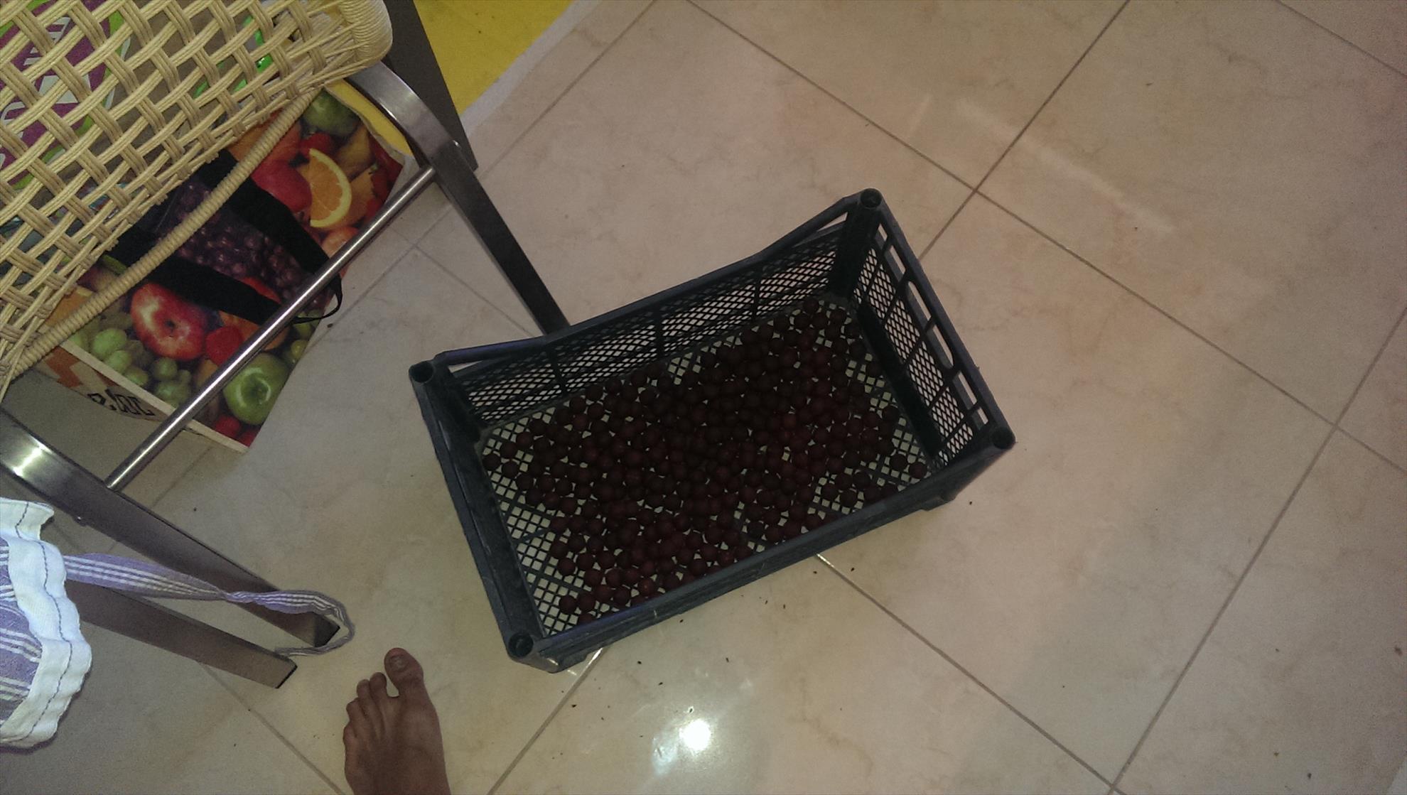 Pregatiri Carpbook ed.II - imag1225.jpg